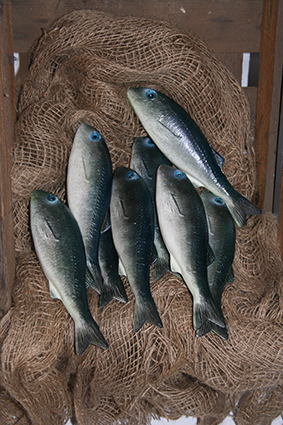 Seebarben-Set , blau,  8 Stück